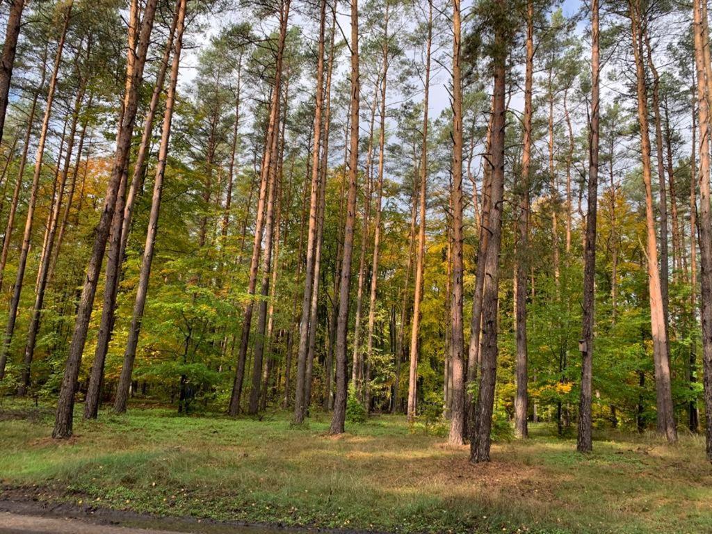 Domek Cyklisty Moryn Экстерьер фото